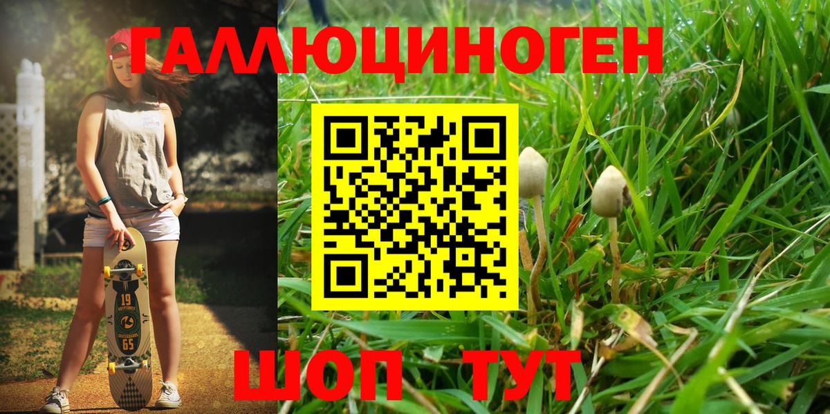 Псилоцибиновые грибы Psilocybe  Вход с VPN  Псилоцибиновые грибы ЛСД  Тверь 