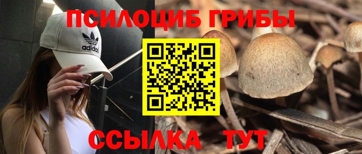 Псилоцибиновые грибы ЛСД Тверь